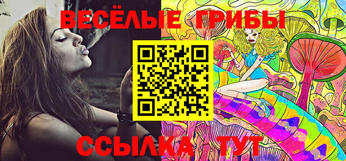 Галлюциногенные грибы MAGIC MUSHROOMS Кызыл