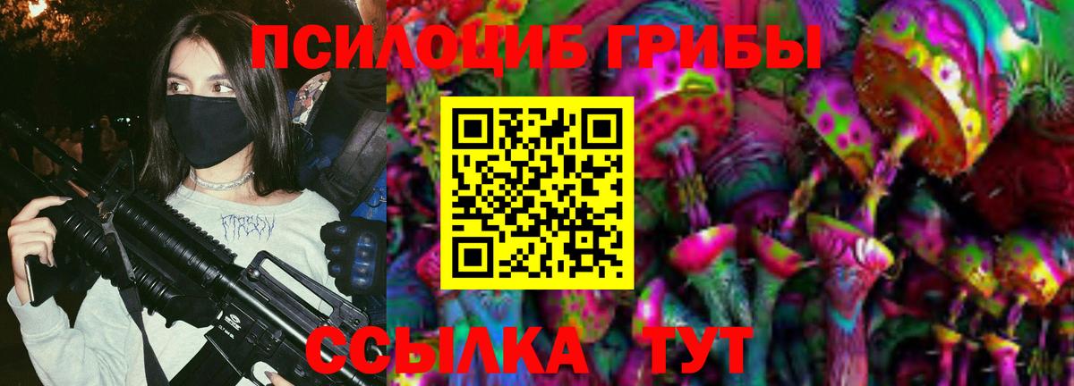 Кызыл  Галлюциногенные грибы MAGIC MUSHROOMS  Вход с VPN 
